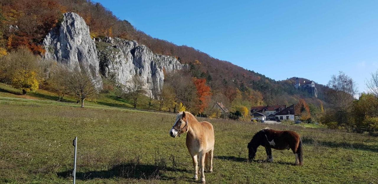 Fewo Lehner Riedenburg Bagian luar foto