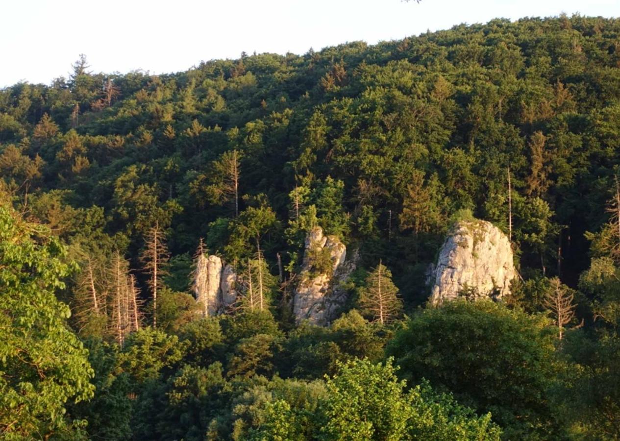 Fewo Lehner Riedenburg Bagian luar foto